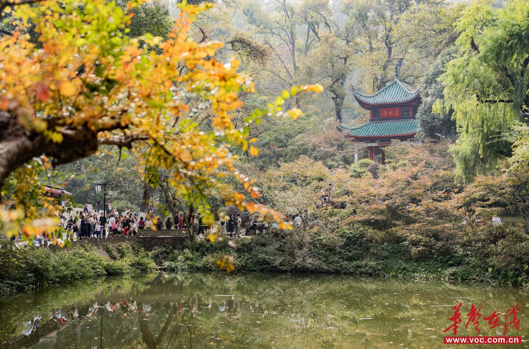 赏秋正当时！湖南登山赏景攻略来了_fororder_1