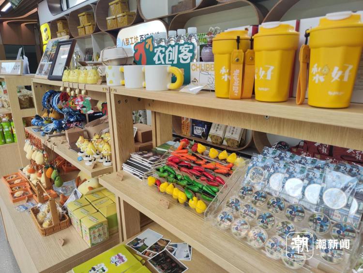 青年农创客激发乡村发展活力