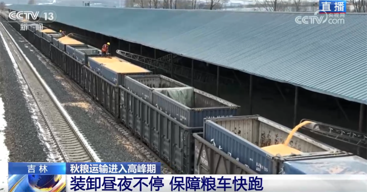 “铁海联运”“黄金水道”按下秋粮运输“加速键” 为全国粮食安全筑牢坚实屏障