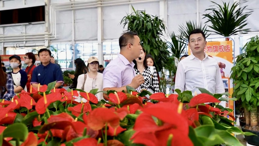 东丽湖畔享休闲 津派文化蕴新生_fororder_媒体团参观天津市东信花卉农业产业园区
