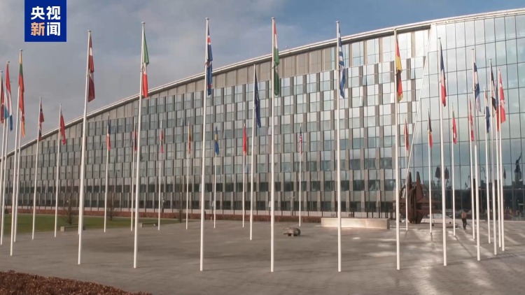 视频丨格陵兰问题令欧洲陷两难处境：坚持主权还是避免冲突