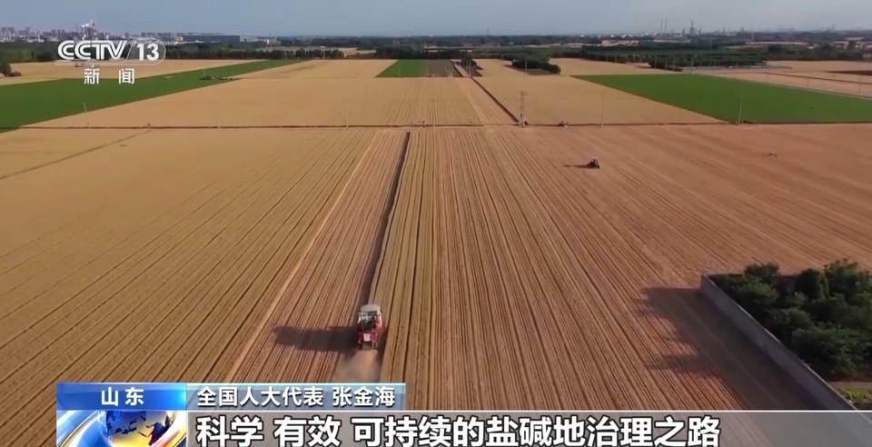 怎样培育耐盐碱经济作物？这位全国人大代表的建议来了