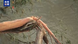 美国得州洪灾仍有超170人下落不明 暴雨再袭致搜救暂停