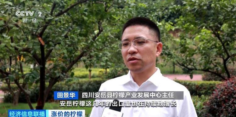 国际订单“抢空”库存 全球供应趋紧推高柠檬价格