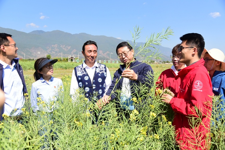 资讯有故事︱农业科技小院为何能走向世界？全国人大代表张福锁这样说→
