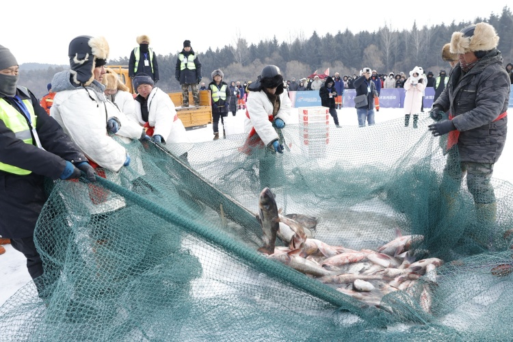 冰湖腾鱼·雪塑匠心：吉林冰雪的文化盛宴与经济蝶变