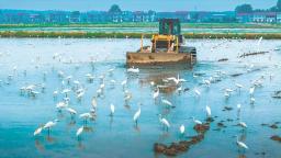 安徽池州：生态农耕 醉美田园