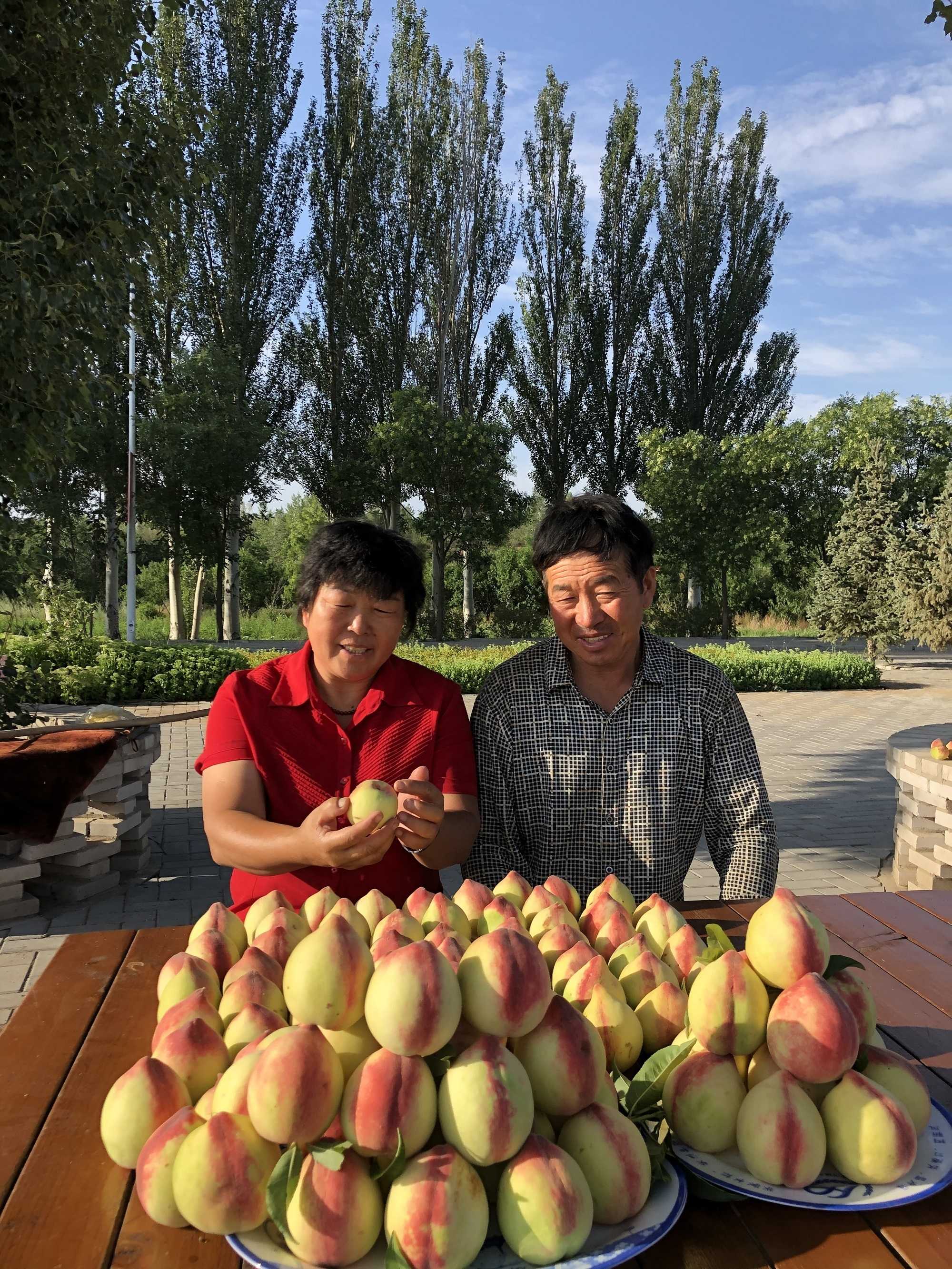 资讯有故事︱“你太好了，我们要去帮你” 这些外国友人为何纷纷到内蒙古种树？