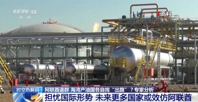 阿联酋“退群” 海湾产油国各自找“出路”？