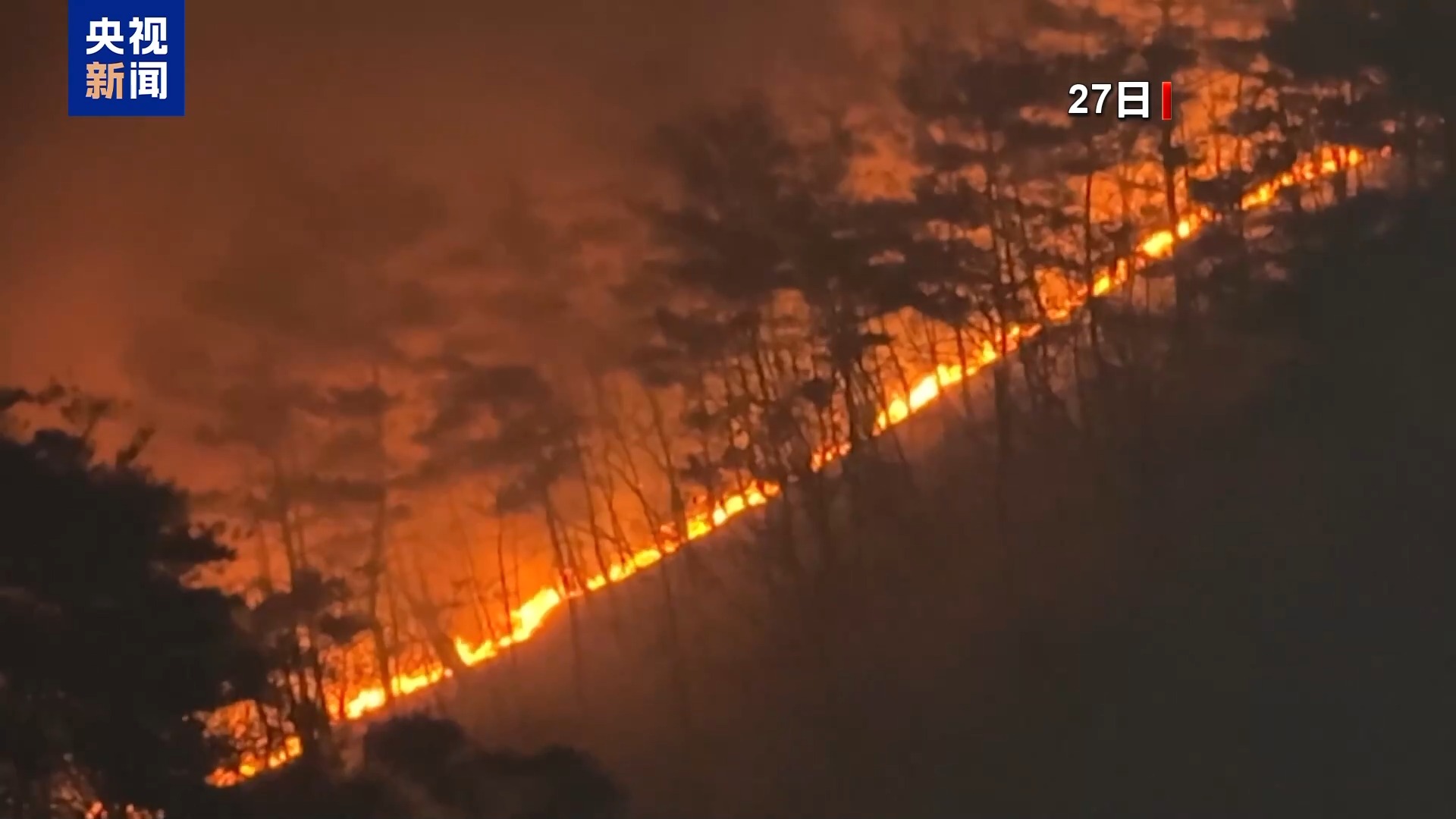 总台现场直击丨韩国山火蔓延 灾区财产损失惨重 火线绵延数公里