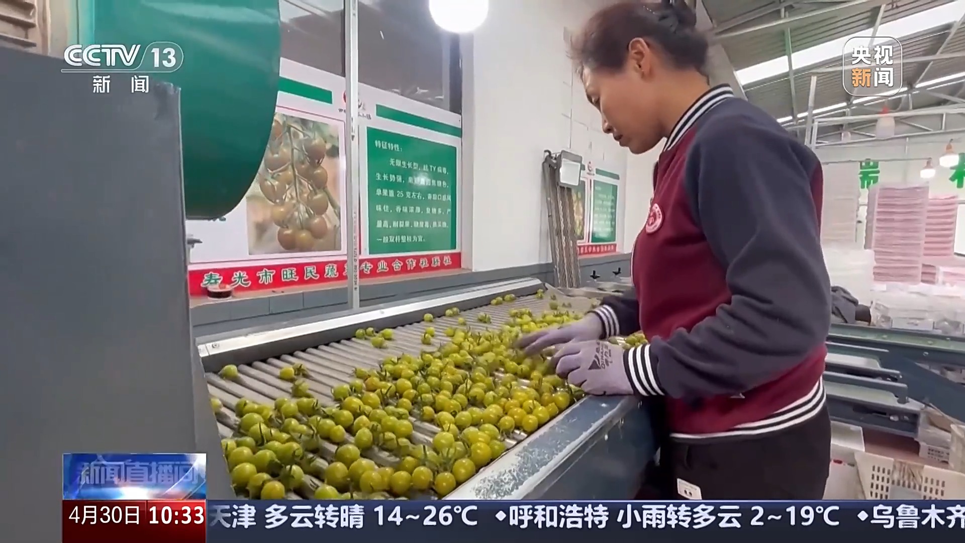 供应充足 品种丰富 价格稳定 五一假期“菜篮子”供应有保障