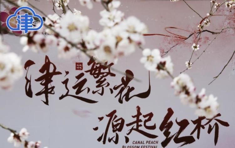 桃花朵朵开！记者探访天津桃花堤
