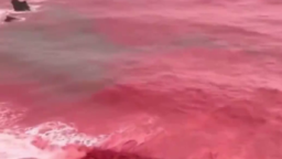 视频丨连日强降雨 伊朗一海滩被染成红色_fororder_企业微信截图_20251218132910