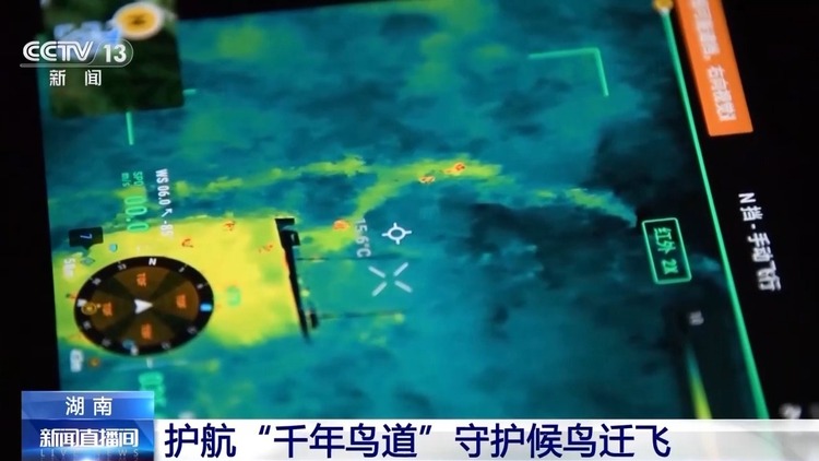 擅长与鸟儿“对话” 护航“千年鸟道”总有他们的身影