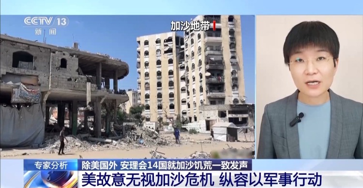偏袒以色列 美国未加入安理会14国关于加沙饥荒联合声明