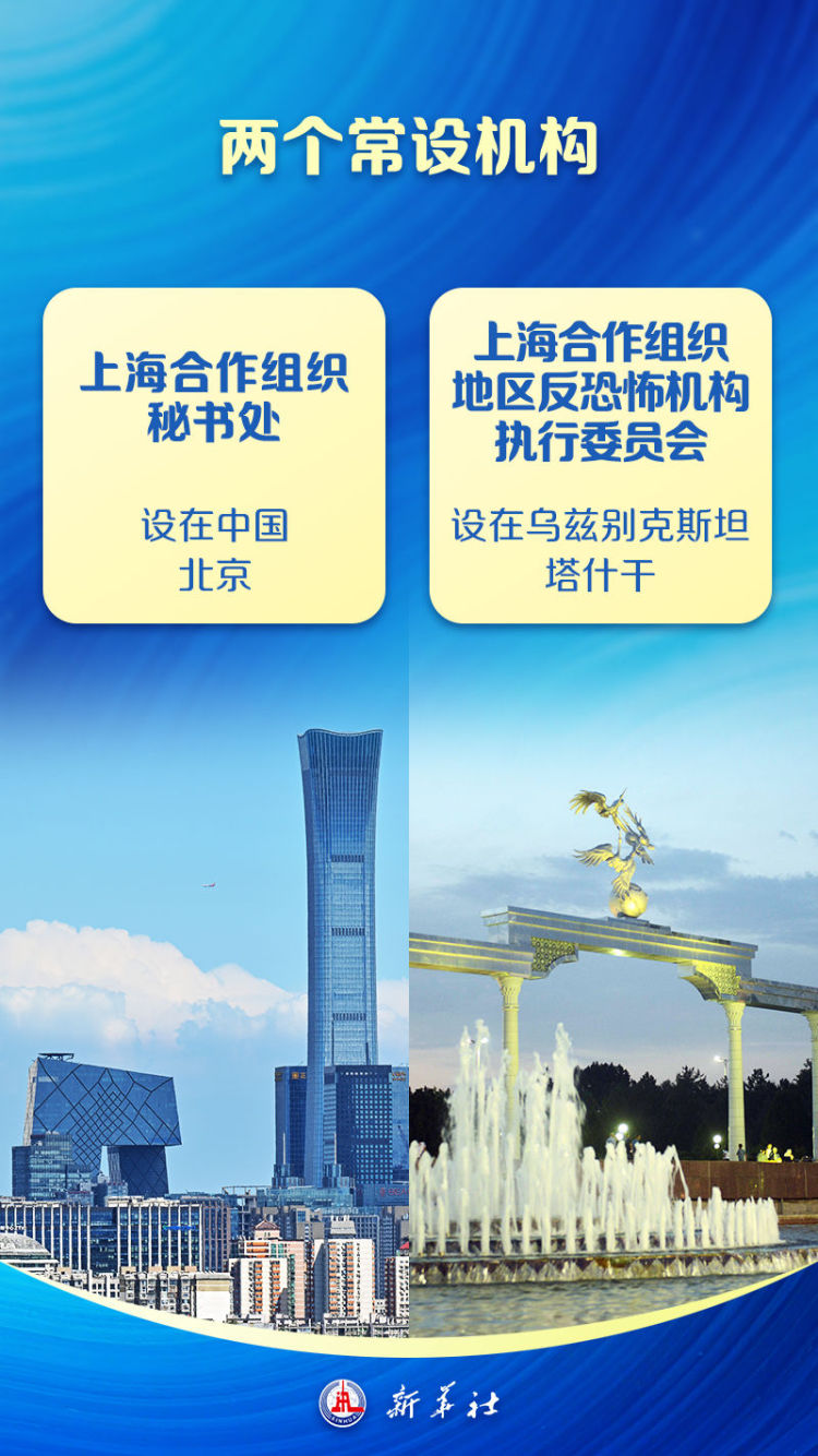 海报｜上合来了！