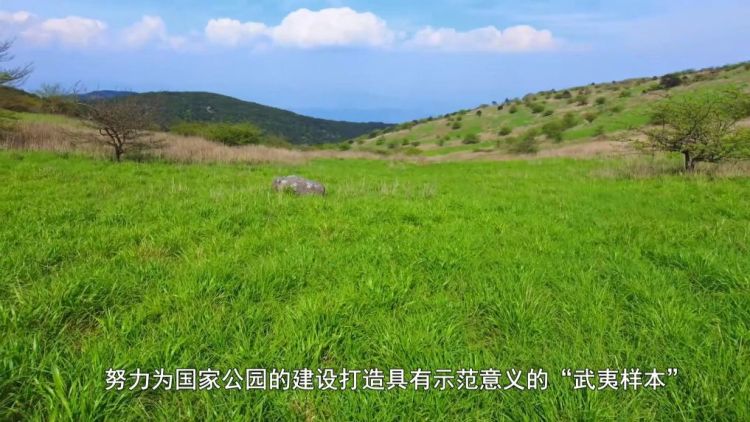 新华视点丨共护武夷山水 书写生态答卷