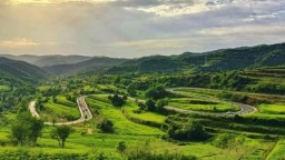 天水清水：千年“汉麻”焕新颜 以麻为媒绘就产业振兴新图景