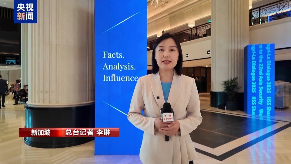 第22届香格里拉对话会闭幕 与会各方倡议合作应对挑战