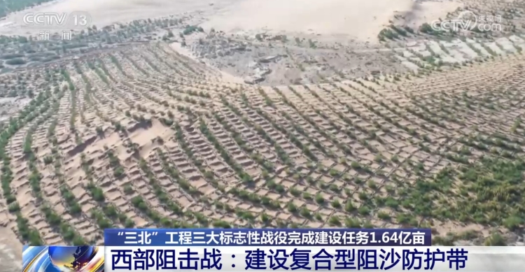 “三北”工程三大标志性战役成效如何？一组数据带你了解_fororder_3