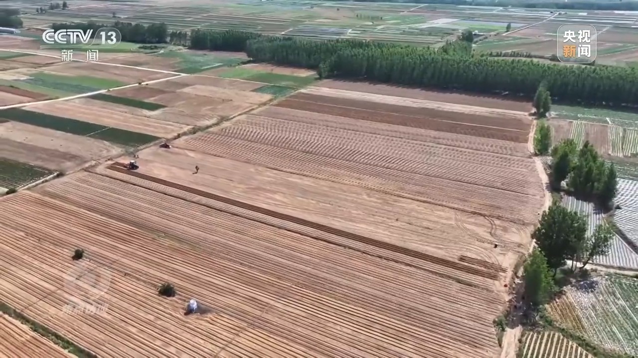 焦点访谈丨良田+良种+良机+良法 来看各地保丰收秘籍