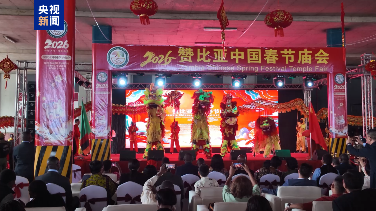 赞比亚中国春节庙会在赞首都举行 总台春晚宣传片惊艳亮相送年味