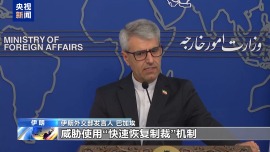 伊朗外交部发言人：若欧洲三国恢复制裁 伊朗必将回应