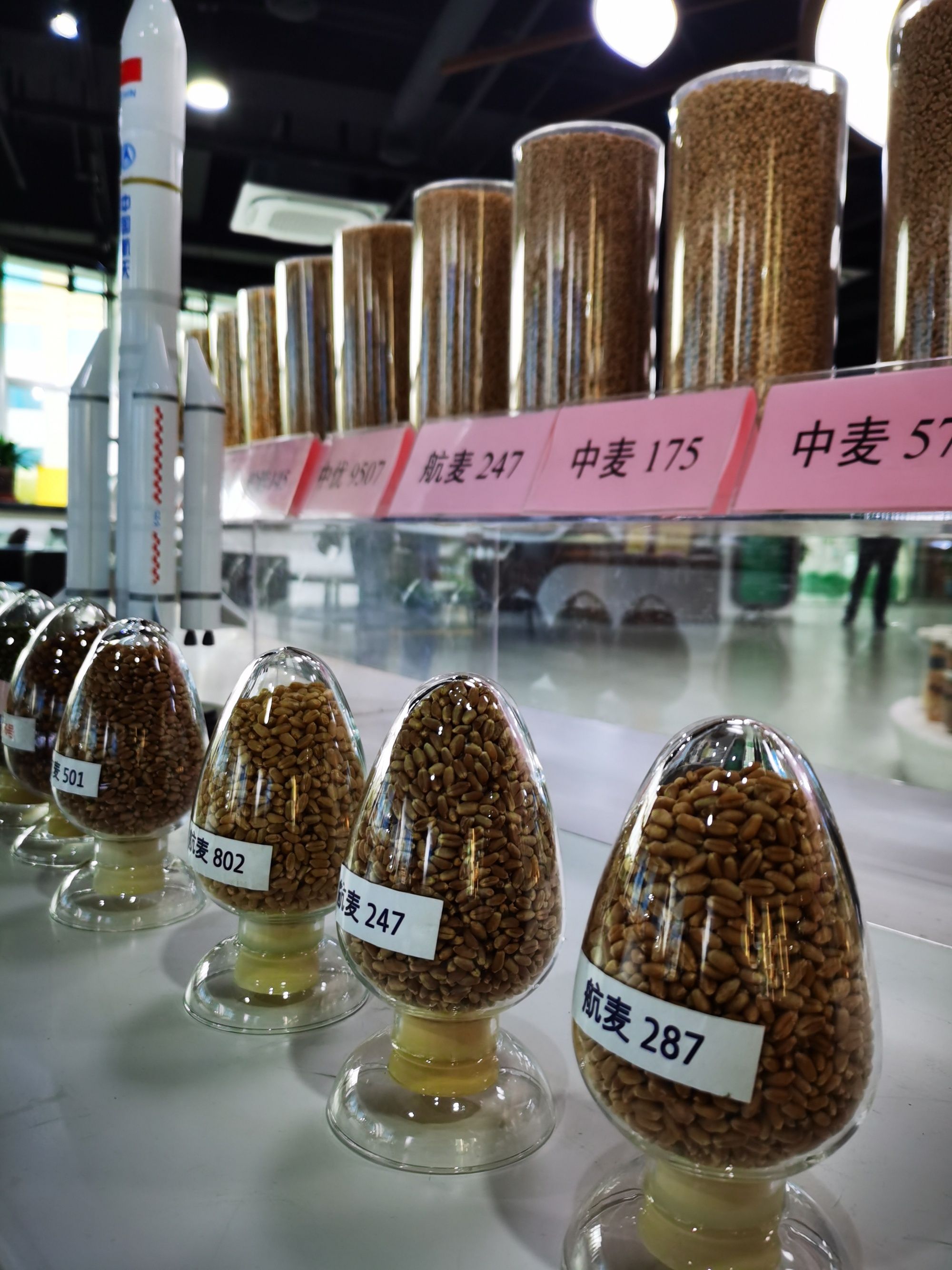 实践十九号卫星交付20大类载荷 多种国际载荷凸显空间科学国际合作