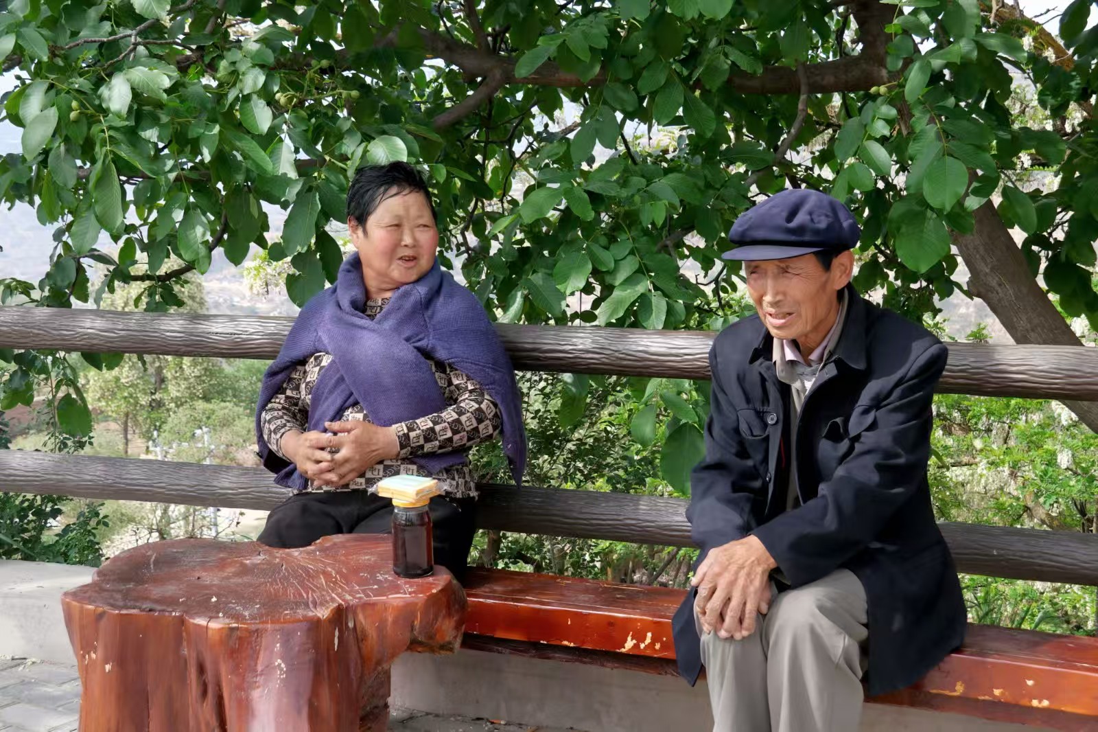 秦安县刘坪镇黄湾村：生态为笔 宜居作墨 绘就和美乡村新图景_fororder_微信图片_20250522112144