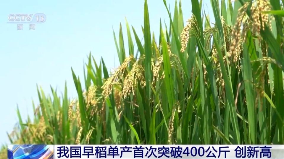 月壤研究新突破、“超级工程”进度条刷新……这一周，多领域好消息频传