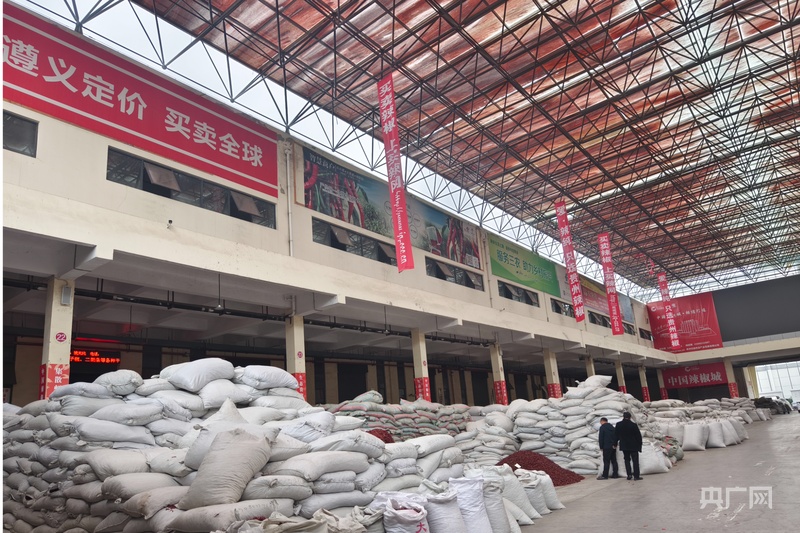 高质量发展看中国|黔北小辣椒 “辣”动致富大产业