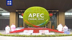 蓝厅观察丨从这场记者会 读懂中国外交