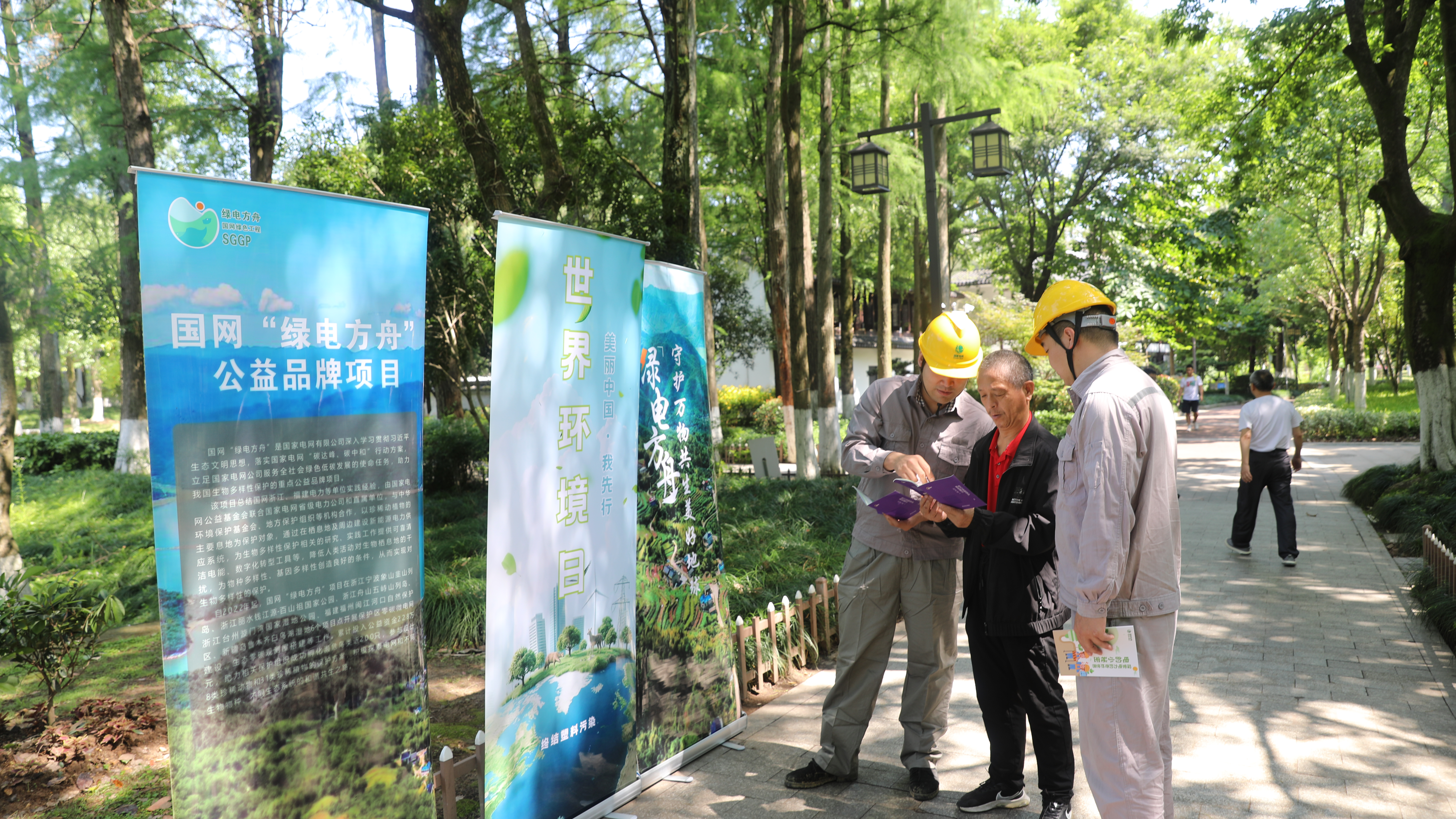 Taizhou, Zhejiang: “State Grid Green Ark Program” in Action for World Environment Day