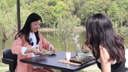 凭艺展茗香 以茶会世界
