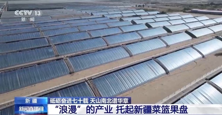 砥砺奋进七十载 天山南北谱华章丨沙漠上的“浪漫”产业 托起新疆菜篮果盘