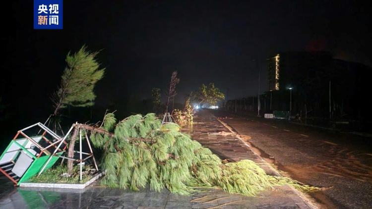 总台现场直击丨台风“博罗依”登陆越南 部分地区断电断网