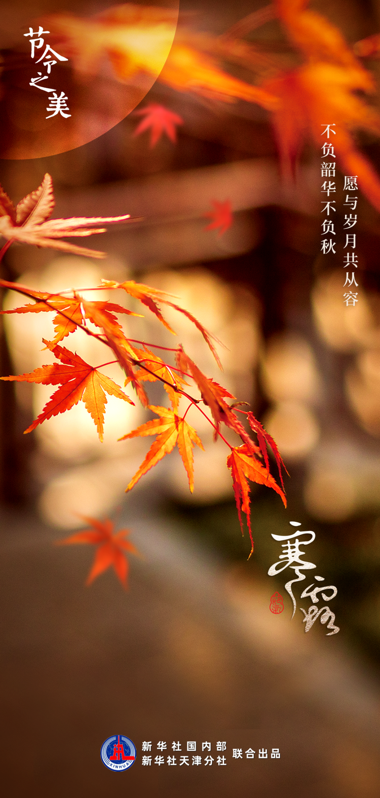 节令之美｜寒露遇上重阳节，赏菊登高觅秋色