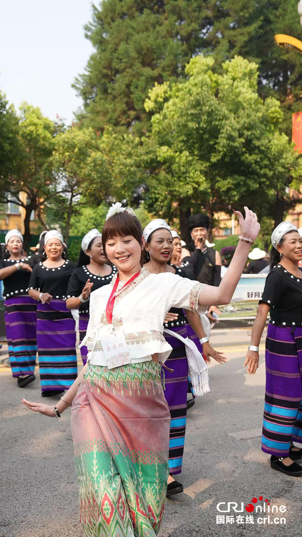 台湾青年来到临沧耿马，与当地各族民众共庆傣历新年（组图）_fororder_3