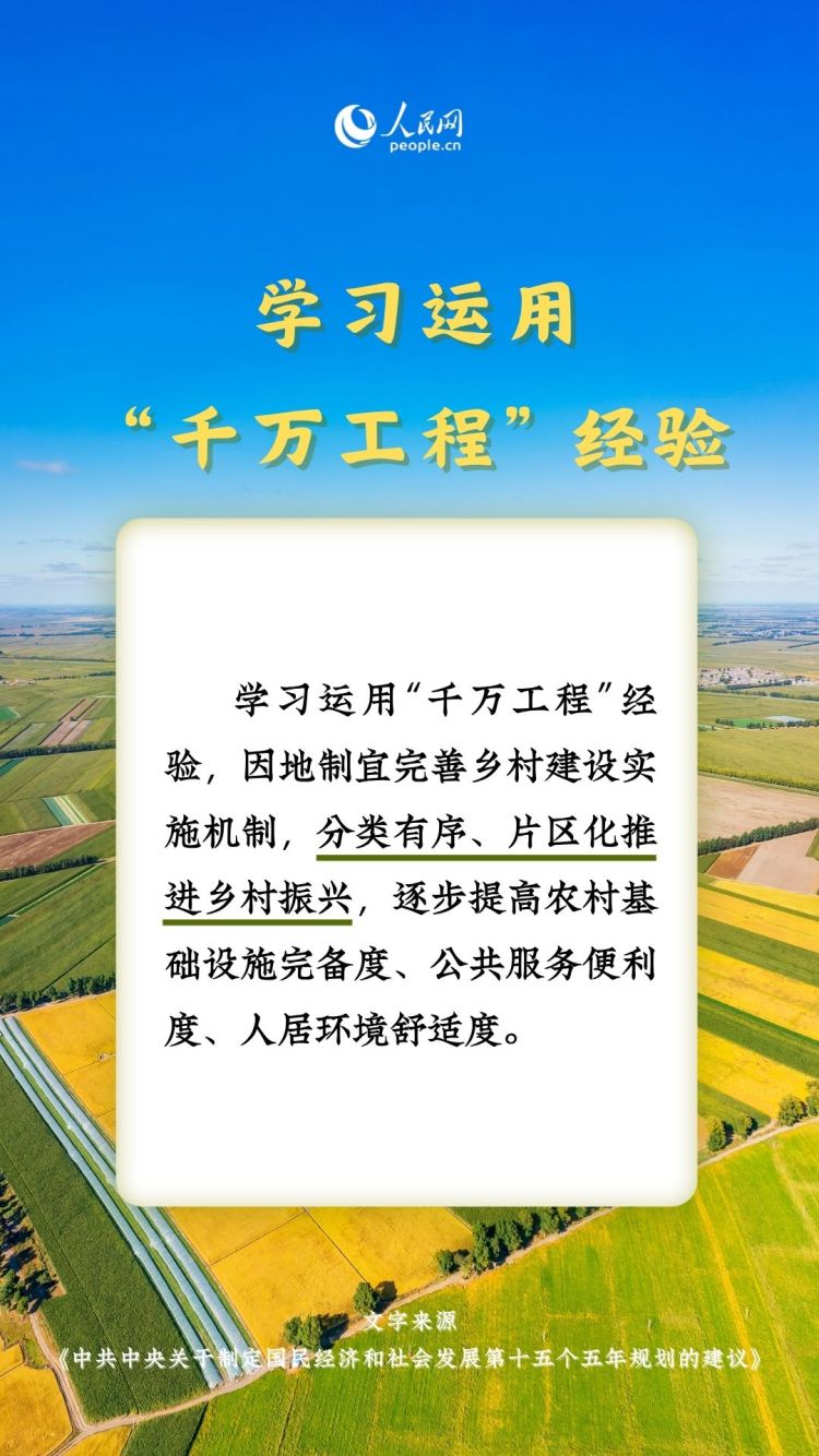 热词里的“十五五”丨这些“三农”关键词，透露增收新路径_fororder_6
