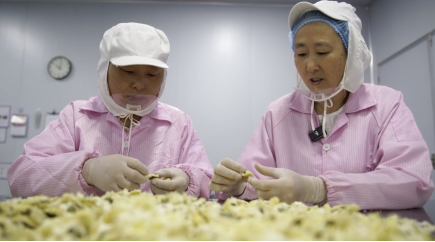 黄山市徽州区：科技为笔绘新篇 徽州科技型中小企业集群“破茧成蝶”_fororder_10137