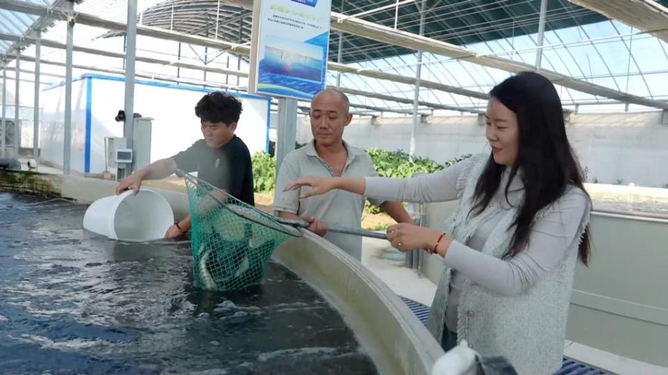 新华视点｜特色农业挖潜力 丰收喜悦满田间