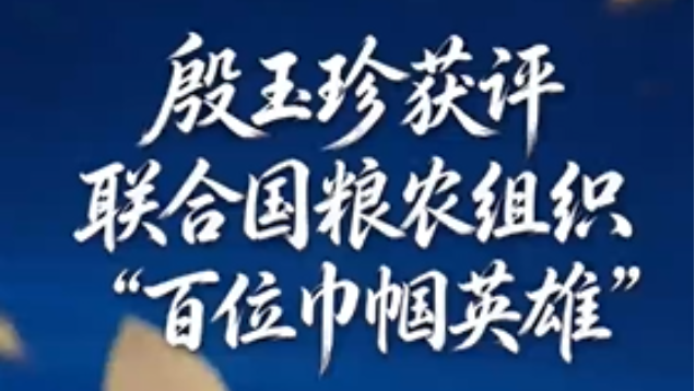 中国の砂漠化防止活動家・殷玉珍さん、「FAO100ウィメン・ヒーローズ」に選出_fororder_1