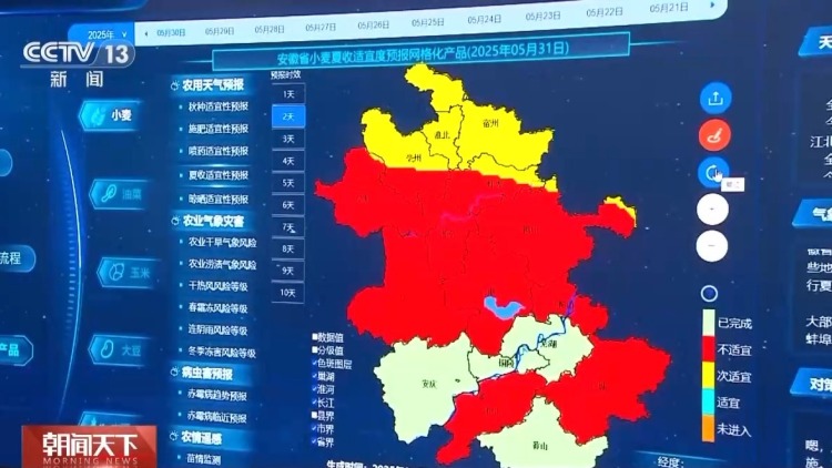 气象预报加上数字化监测 小麦“颗粒归仓”有了“最强大脑”