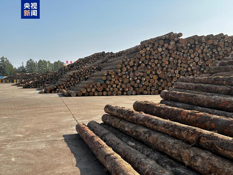 证监会:原木期货和期权在大连商品交易所上市