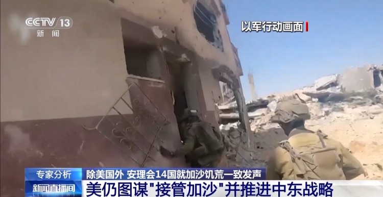 偏袒以色列 美国未加入安理会14国关于加沙饥荒联合声明