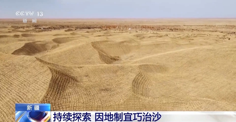走！去塔克拉玛干沙漠，看“锁边”工程的N种模式→