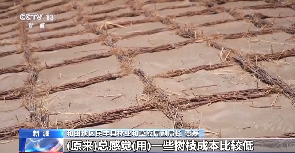 走！去塔克拉玛干沙漠，看“锁边”工程的N种模式→