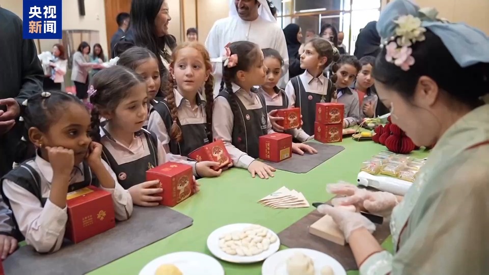祝福中国年 我驻多国使领馆举办新春招待会