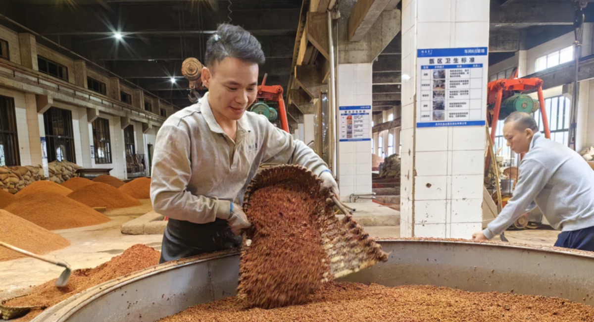 贵州仁怀：重阳下沙正当时 恪守工艺酿造忙