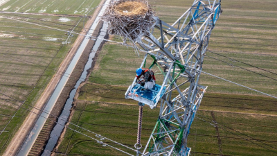 State Grid Huai'an: Powering Progress in Harmony with Nature